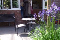 Timber Arbor