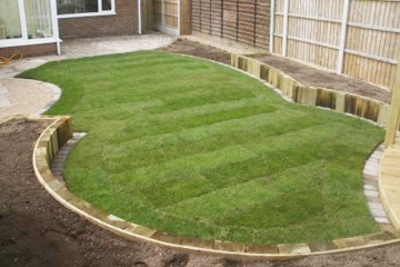 Use of strong curving shapes to contrast with the linear layout